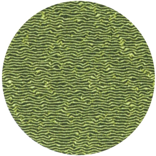 YMT002122
