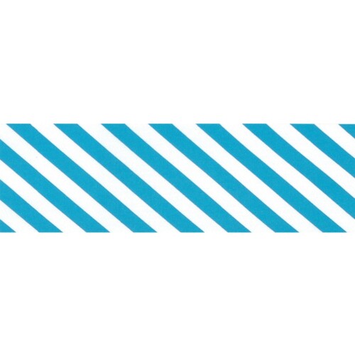 YMT001273